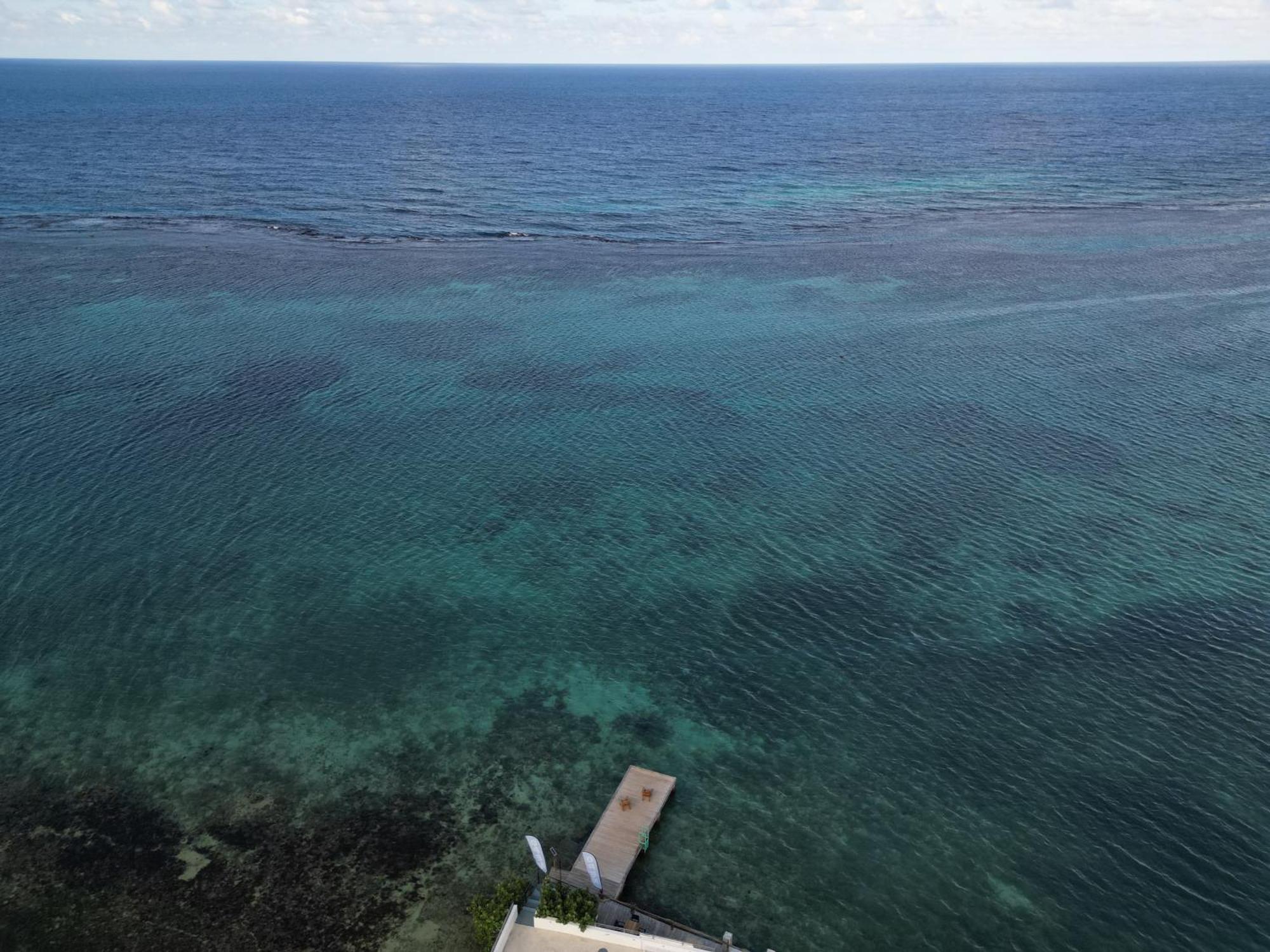 Ocean Palms Hotel Ocho Rios Eksteriør billede